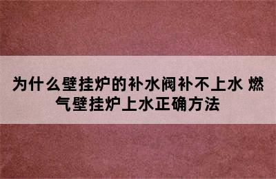 为什么壁挂炉的补水阀补不上水 燃气壁挂炉上水正确方法